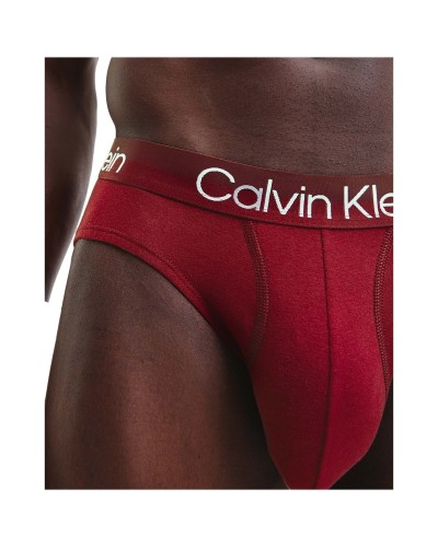 Pack de slip Calvin Klein Hip Brief 3Pk