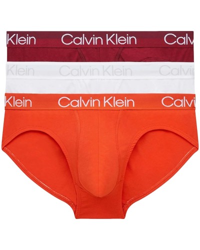 Pack de slip Calvin Klein Hip Brief 3Pk