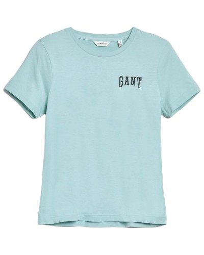 Camiseta Gant Reg Logo Ss T-Shirt