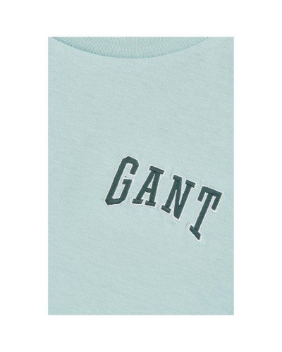 Camiseta Gant Reg Logo Ss T-Shirt