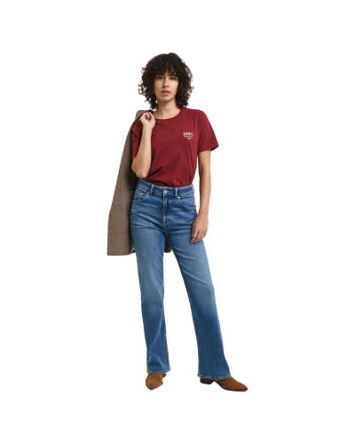 Camiseta Gant Reg Small Graphic Ss T-Shirt