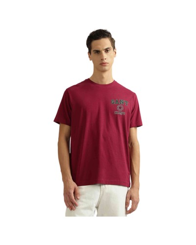 Camiseta Gant Crest Grafhic Tshirt
