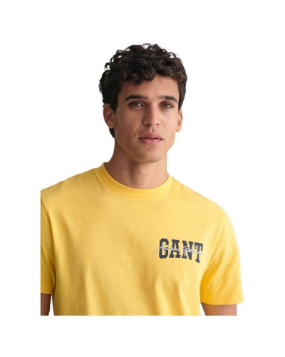 Camiseta Gant Arch Script Ss T-Shirt