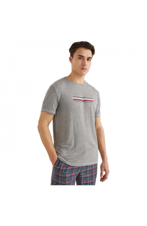 Camiseta Tommy Hilfiger Cn Ss Tee